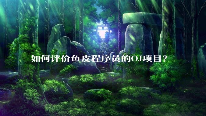 如何评价鱼皮程序员的OJ项目？