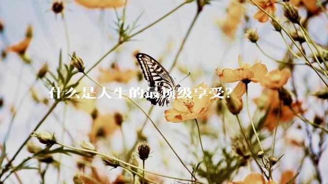什么是人生的最顶级享受？