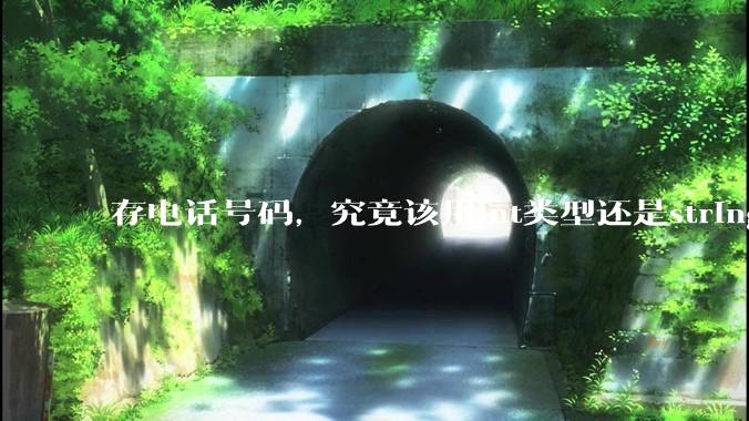 存电话号码，究竟该用int类型还是string类型？